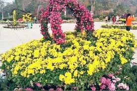 全部免费！张湾这几个景点等您来打卡……图片