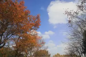 上海人的地域特点图片