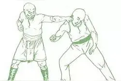 虎鹤双形拳 | 猛打（四）图片