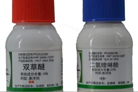 双草醚可以防治50多种杂草，但对个别水稻品种敏感，请大家注意图片