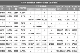 全国律师行业最新数据：山东律师创收破百亿、重庆律所数量出现负增长图片