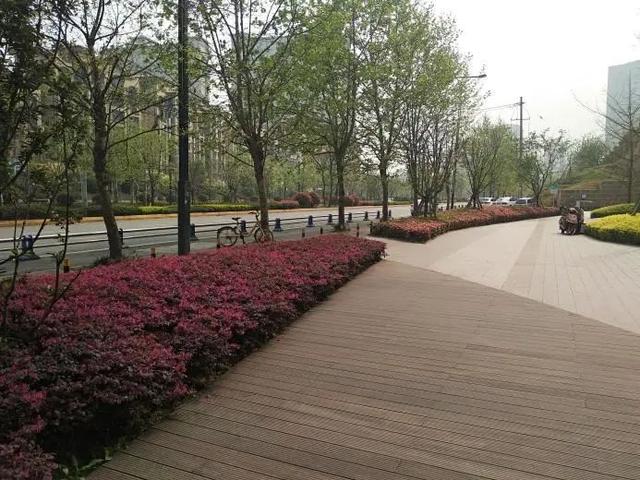 城东大面网红盘即将推新，首付30万买它不香吗？