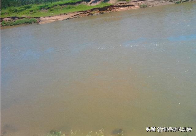 鏃╂槬鑲ユ按闅撅紵閭ｆ槸浣犵殑鏂规硶閿欎簡锛岀湅鐪嬪崄骞村吇娈栨埛鎬庝箞鍋? onerror=