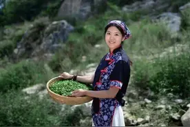 民间故事：泰山女儿茶的传说图片