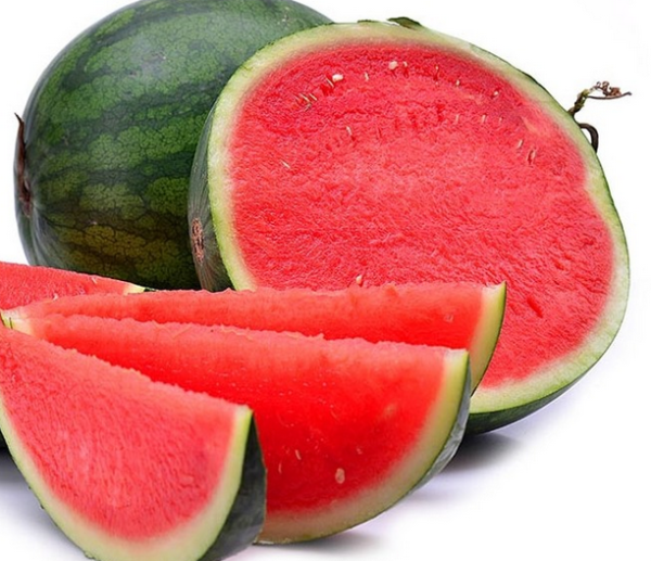 高中生物学习经验分享