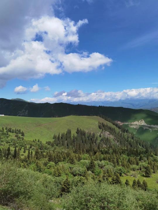 轿车SUV越野车对比_自驾新疆车型选择_最好的suv是什么车