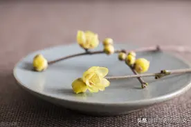 广东省东莞市2021-2022学年高二上学期段考语文试题图片