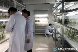 农业科研人 “五一”忙备种图片