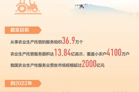 “80后”田保姆种粮记（危中寻机·农业迈向高质量）图片