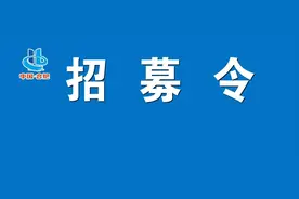 今起！合肥市直机关、事业单位公开招募青年就业见习人员！图片