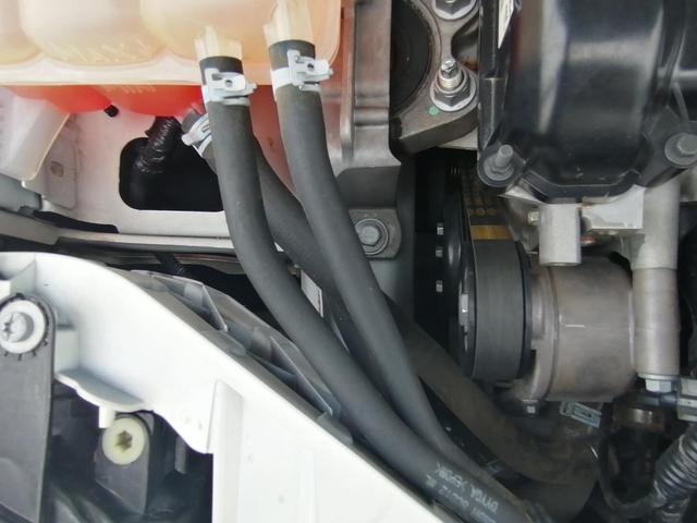 期待已久的经典福克斯两厢版，胖哥已顺利拿下，1.8排量手动挡