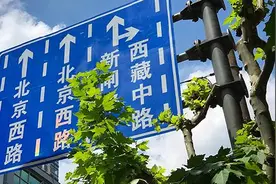 直行车道直行为什么还吃罚单？交警解释上海“最难路口“通行设计  |  申晨间图片