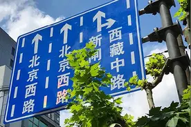 直行车道直行为什么还吃罚单？交警解释上海“最难路口“通行设计  |  申晨间图片