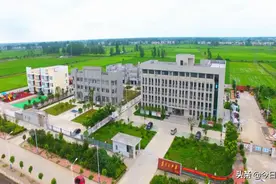 访谈：天门这个镇项目建设跑出“加速度”！图片