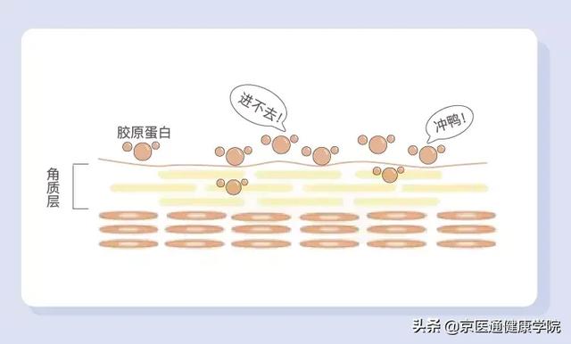 胶原蛋白粉是什么做的 2026年胶原蛋白粉是干什么用的