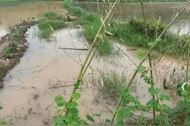我们南方为什么今年老是下雨天？这雨到底下到什么时候图片