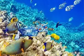 海南的海底藏着72个村庄，这是怎么回事？|闲话海南图片