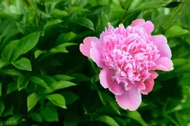 断去联系，不要再去打扰，两个人已经没有关系了图片