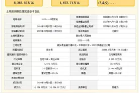 正商集团再次在新乡拿地，另一地块被神秘人1.02亿摘得！图片