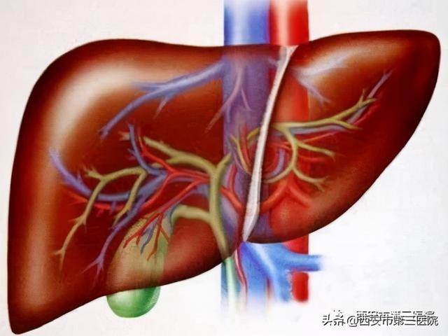 【利好消息】西安市第三医院开展氨基酸检测新项目