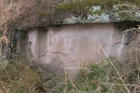 王羲之《兰亭序》是怎么流入四川广安的？图片