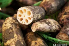 秋天，多给家人吃“4白”，润燥滋补，安稳过秋天，快来跟着做图片