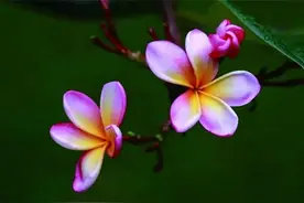 让山还是山，让水回归水——夫妻关系走向幸福的三个阶段图片