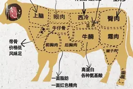 牛肉不同部位区别，美食口感自然不同图片
