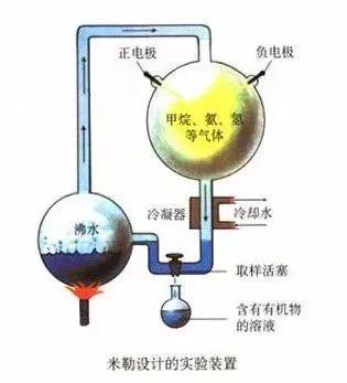 《宇宙的秘密全部揭开（二十四）分子生物学》