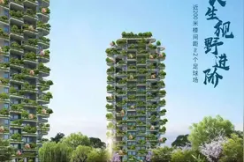 来看看最新的第四代住宅～天府新区的有福咯～不过也有缺点图片