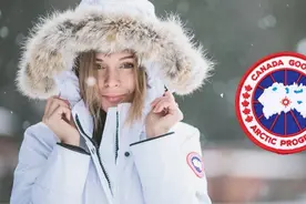 加拿大鹅Canada Goose介绍在这，挑适合自己的一款图片