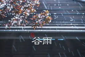谷雨：夜来风雨声 花落知多少图片