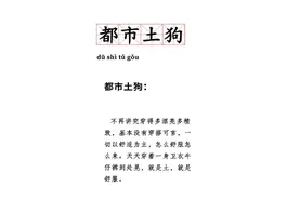 为什么说都市丽人的终极梦想是当“都市土狗”图片