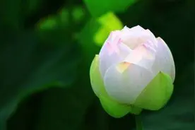 易经：一个人，内心无惧，才能真正进入顺境图片