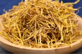 《本草精荟》：清心止血：莲须、莲子心、藕节、荷叶图片