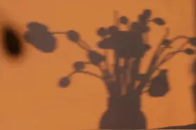 超轻推文:⑥本/近期完结/现言/甜文图片