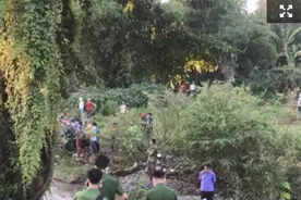 诡异！越南丛林中惊现裸体女尸，竟出现两户人家认尸图片