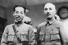 张学良是如何评价戴笠的，短短八个字，戴笠听完敬畏之心油然升起图片