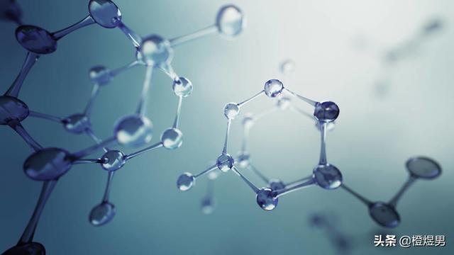 高中生物必背知识点归纳