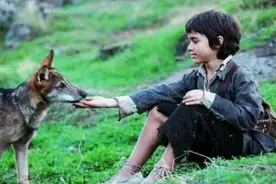 为什么狼遇到人类婴儿会将其养大，而不是吃掉？看完恍然大悟图片