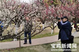 宝鸡植物园“会说话”迷人春色等您来图片