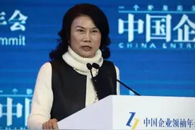 “空调变发电站”上热搜，“空调一姐”董明珠的“零碳”梦想实现了吗？图片