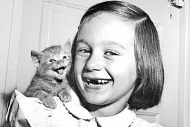 这位老人用了70年拍摄猫咪，成为了真正的拍猫鼻祖图片