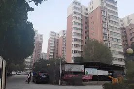 因一条不在原规划里的路，居民搬至安置小区10年没办下房产证，咋回事？图片