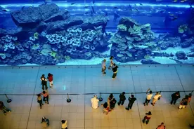 亚洲购物中心室内最大360°全景环绕柱状海洋馆亮相重庆图片