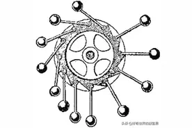 永动机：为什么不可能被制造，但大自然却存在？图片