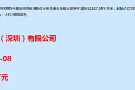 10123元/㎡！中信3.9亿拿下石龙1.2万平商住地图片