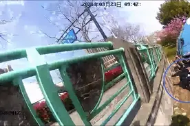 现实版《我的姐姐》，20岁女孩养三个弟妹，压力太大跳河了图片