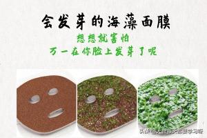 海藻面膜真的可以补充胶原蛋白吗 2025年海藻面膜真的可以补充胶原蛋白