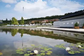 人生一世，草木一秋，如何跟孩子聊“生命”话题？图片